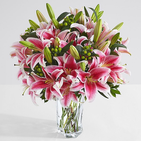 Hoa ly là loại hoa 20 tháng 11 mang ý nghĩa cao thượng, bày tỏ lời cảm ơn gửi gắm đến thầy cô trong dịp đặc biệt này