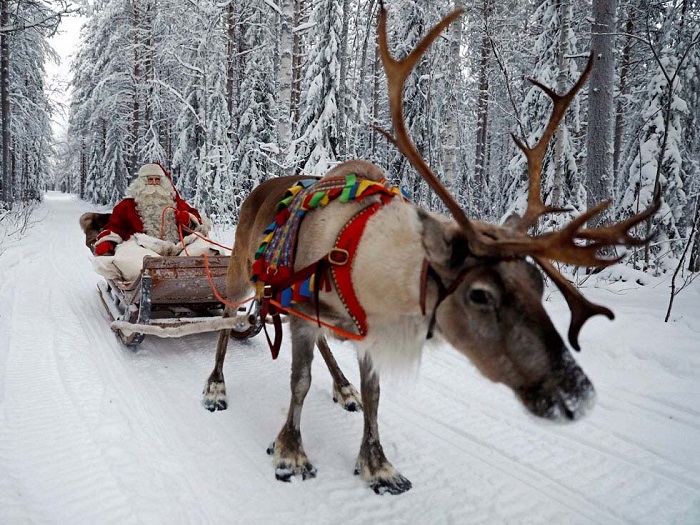 Top 50+ hình ảnh ông già noel cưỡi tuần lộc ấn tượng nhất mùa Giáng sinh